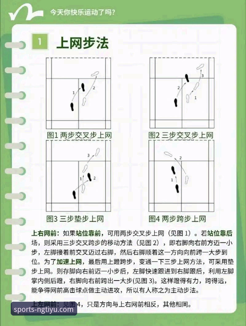 5个NG体育使用教程推荐技巧，让你快速掌握赛事数据查询